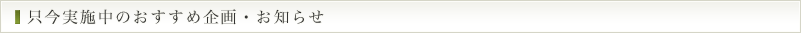 只今実施中のおすすめ企画・お知らせ